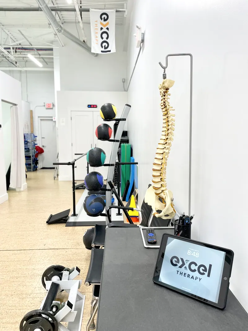 Medicine balls, a spine model and an Excel Therapy tablet on the gym floor
